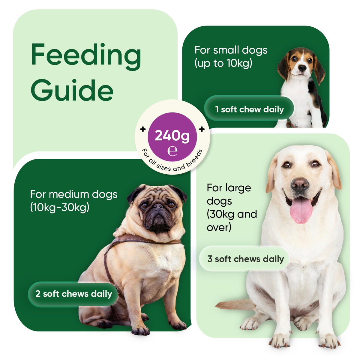 Coprophagia for Dogs