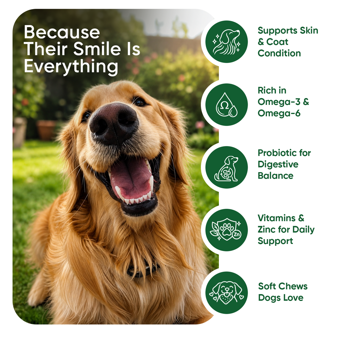 Itch and Immunity for Dogs 120 Soft Chews