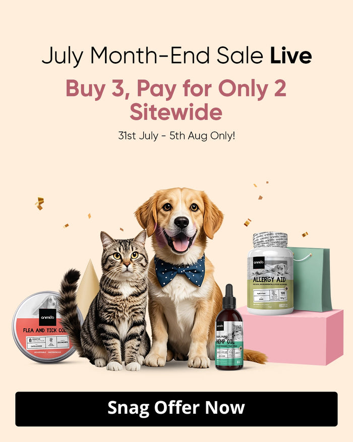 BUY 3 PAY 2