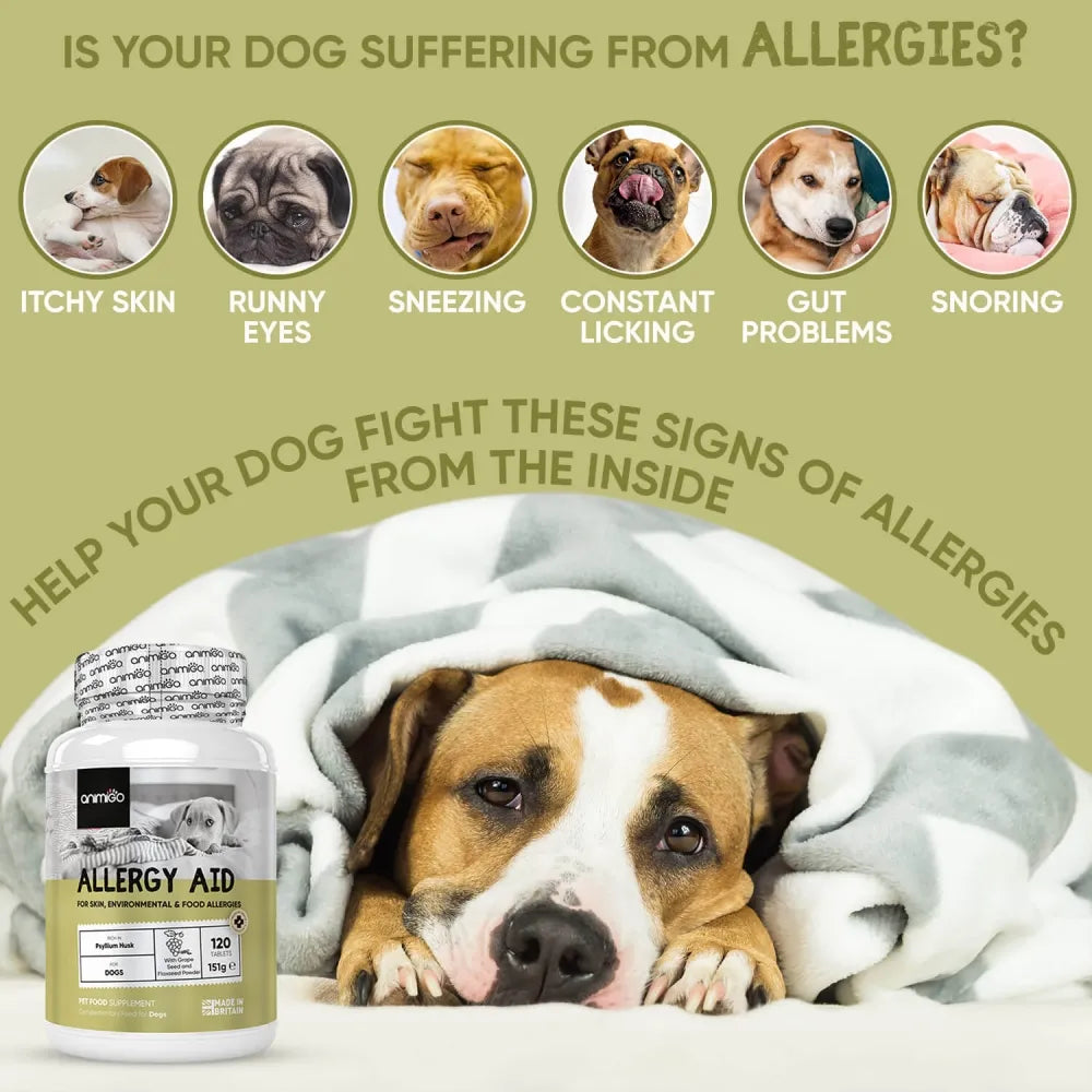 Allergies, Dogs 2 allergy aid tabs uk 04