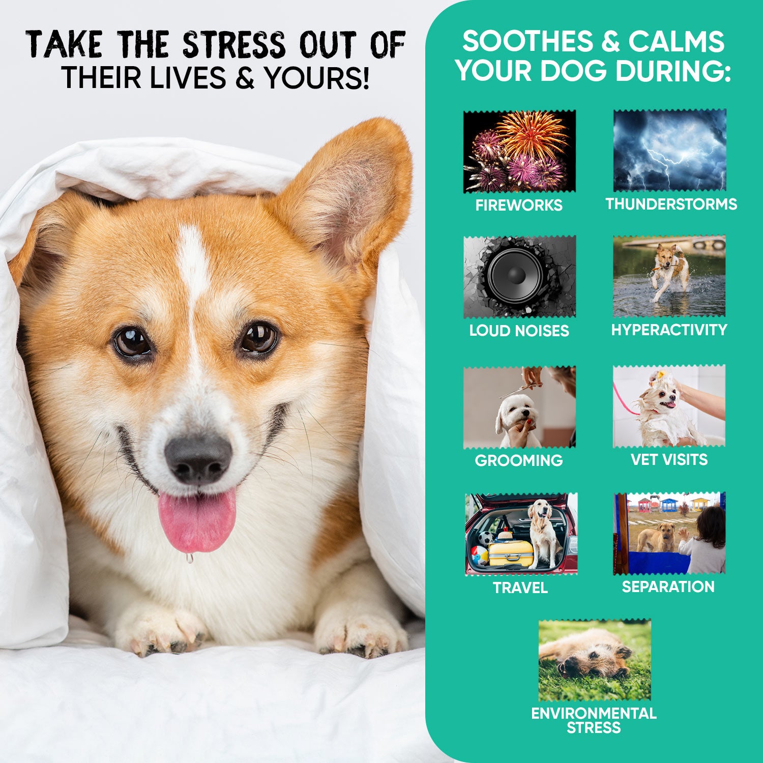 Situations for which our Animigo Calming Aid for Dogs is ideal