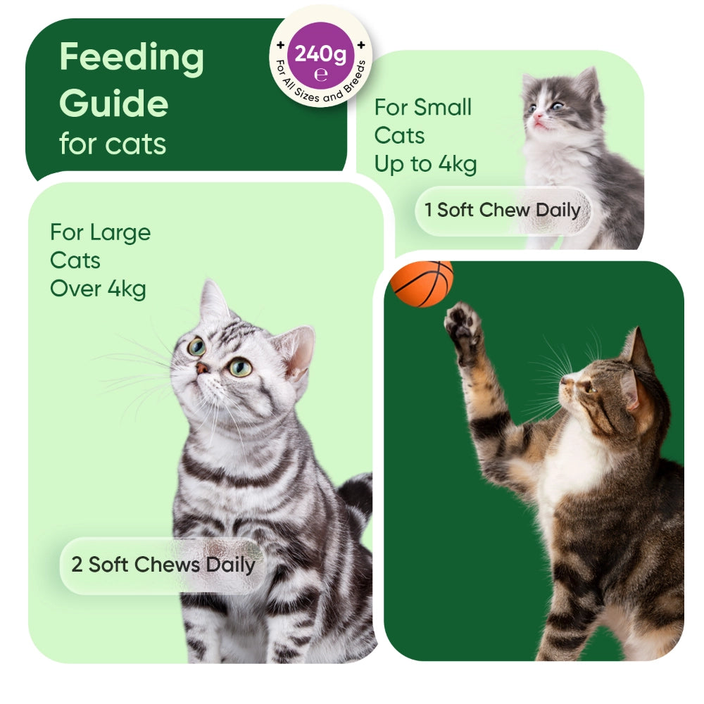 animigo-uk-calming-aid-for-cats-120-soft-chews-06