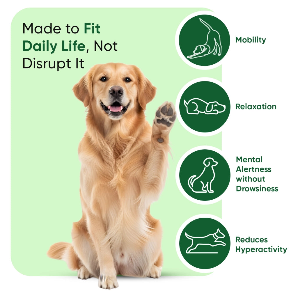 animigo-uk-calming-aid-or-dogs-cap-02