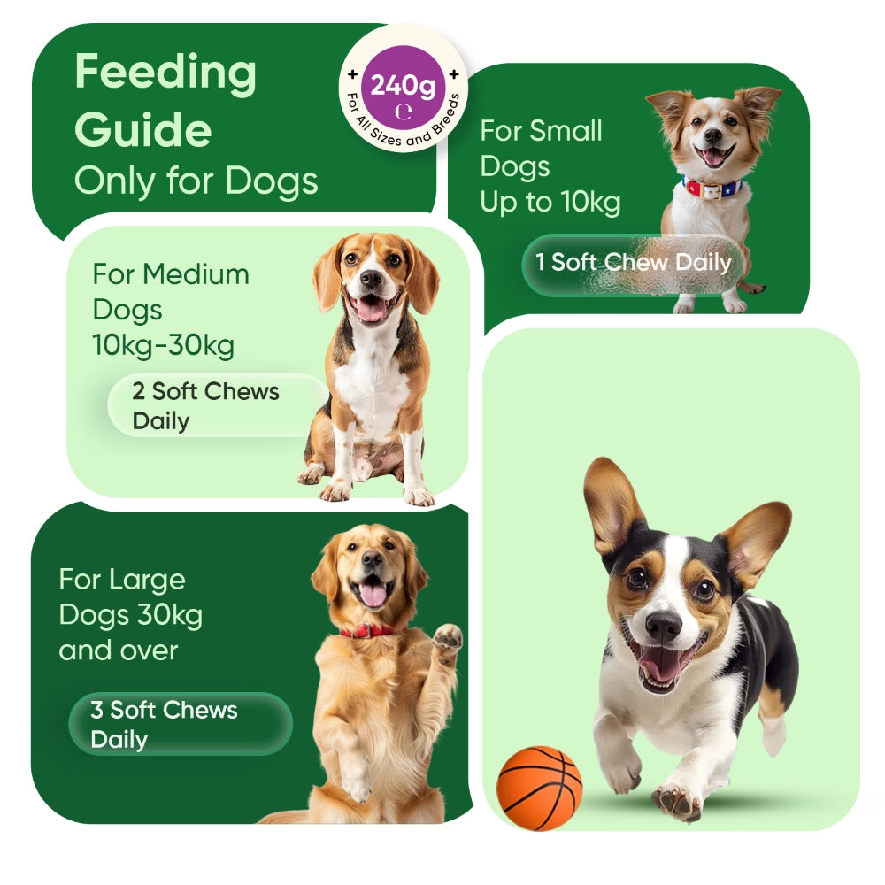 animigo-uk-calming-aid-or-dogs-cap-03