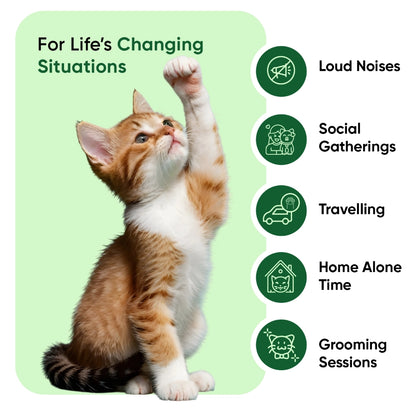animigo-uk-calming-drops-for-cats-caps-02