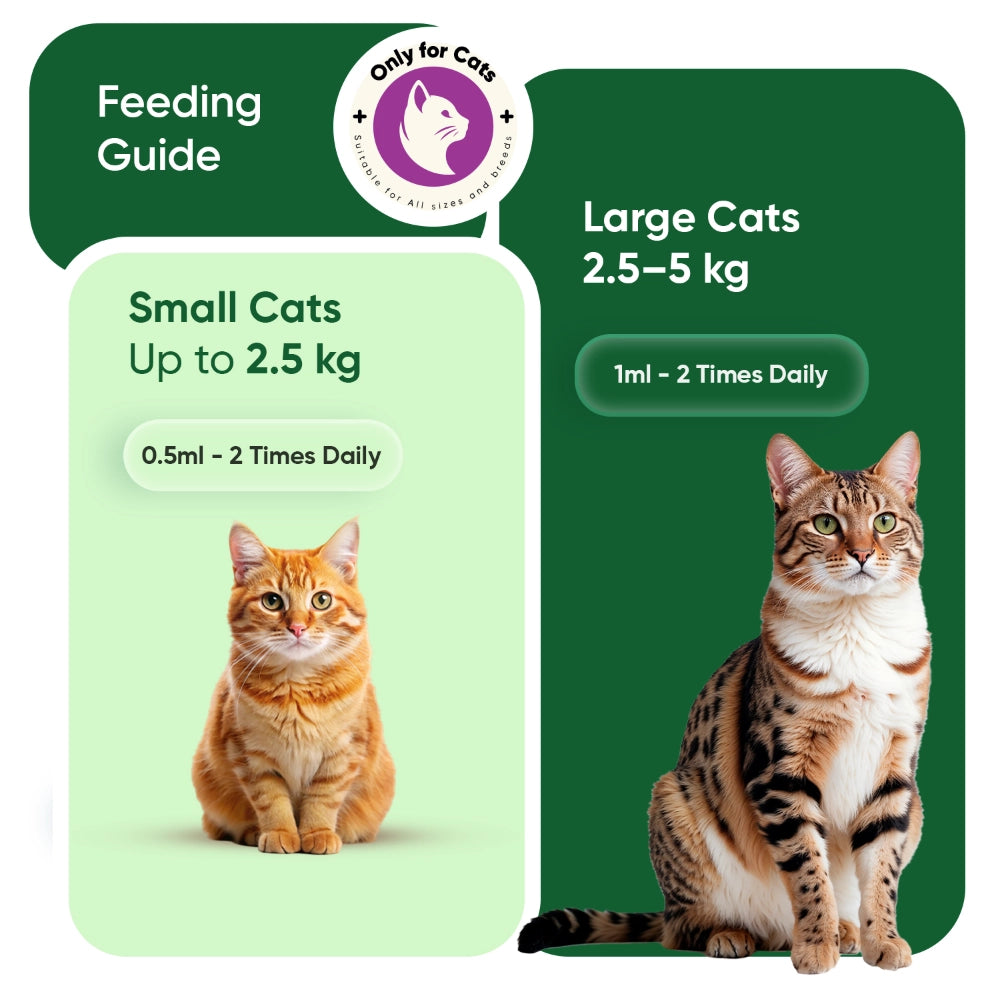 animigo-uk-calming-drops-for-cats-caps-04