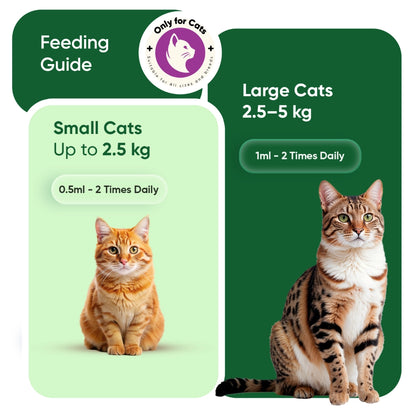 animigo-uk-calming-drops-for-cats-caps-04