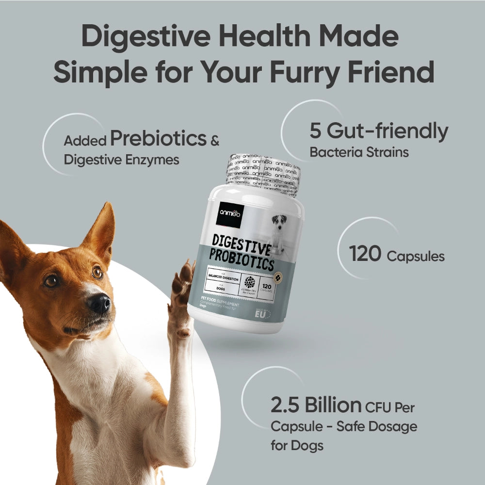 animigo-uk-digestive-probiotics-for-dogs-120capsules-02