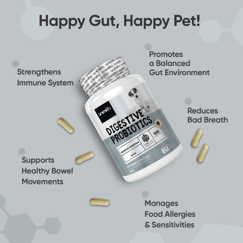 animigo-uk-digestive-probiotics-for-dogs-120capsules-03