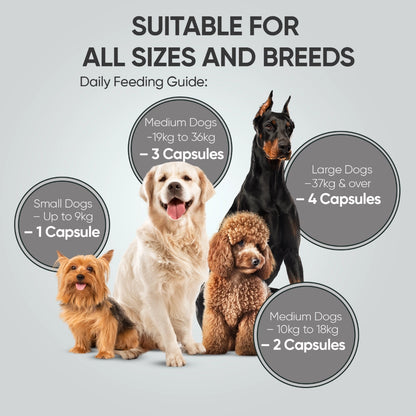 animigo-uk-digestive-probiotics-for-dogs-120capsules-04