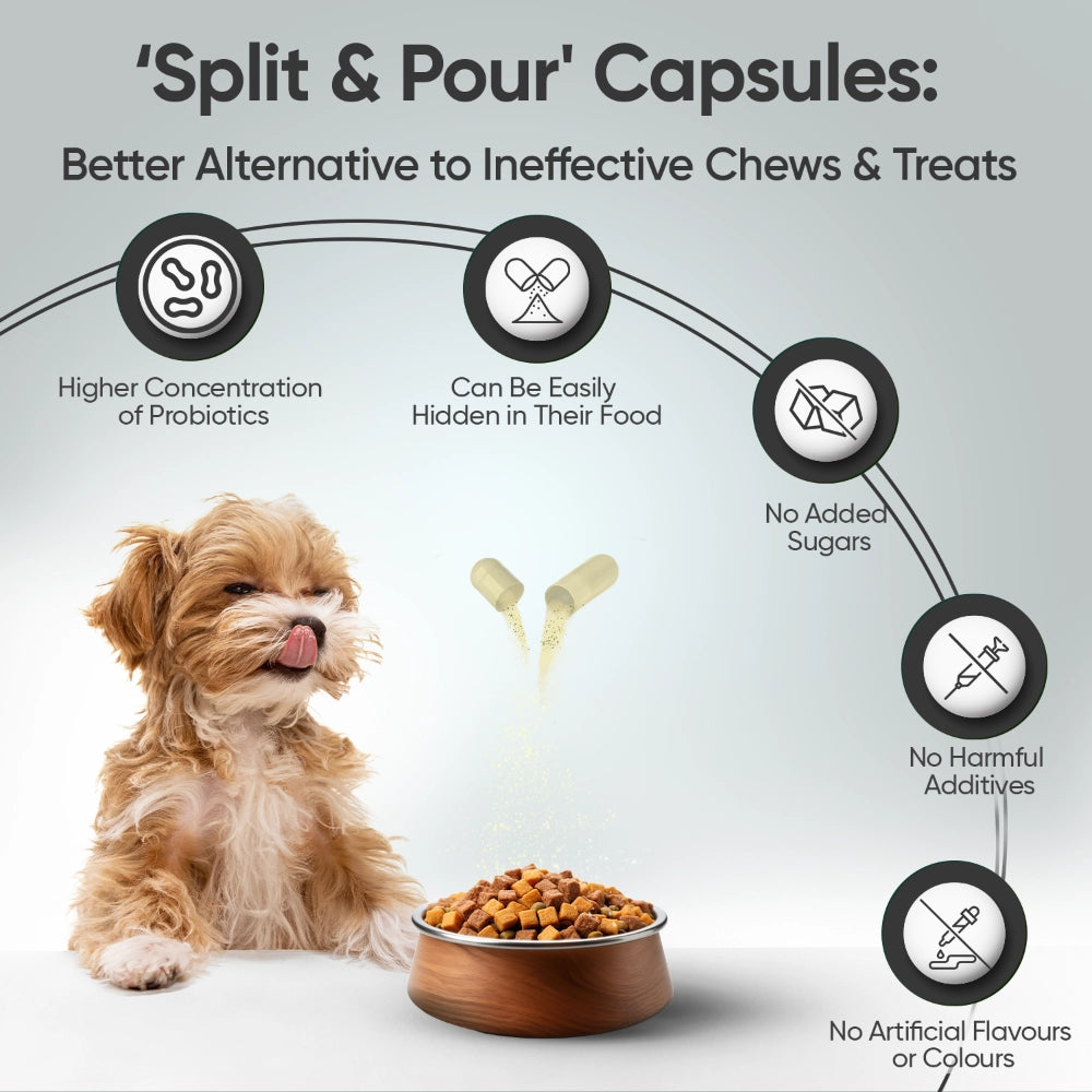 animigo-uk-digestive-probiotics-for-dogs-120capsules-05