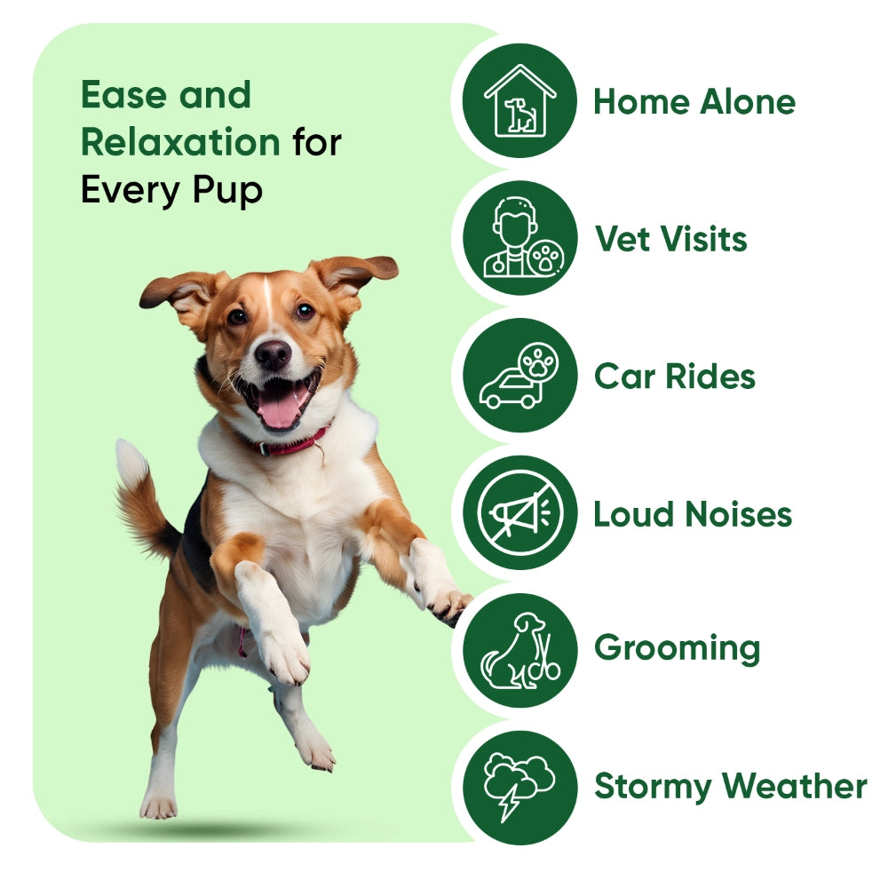 animigo-uk-hemp-oil-60ml-for-dogs-55800mg-liquid-03