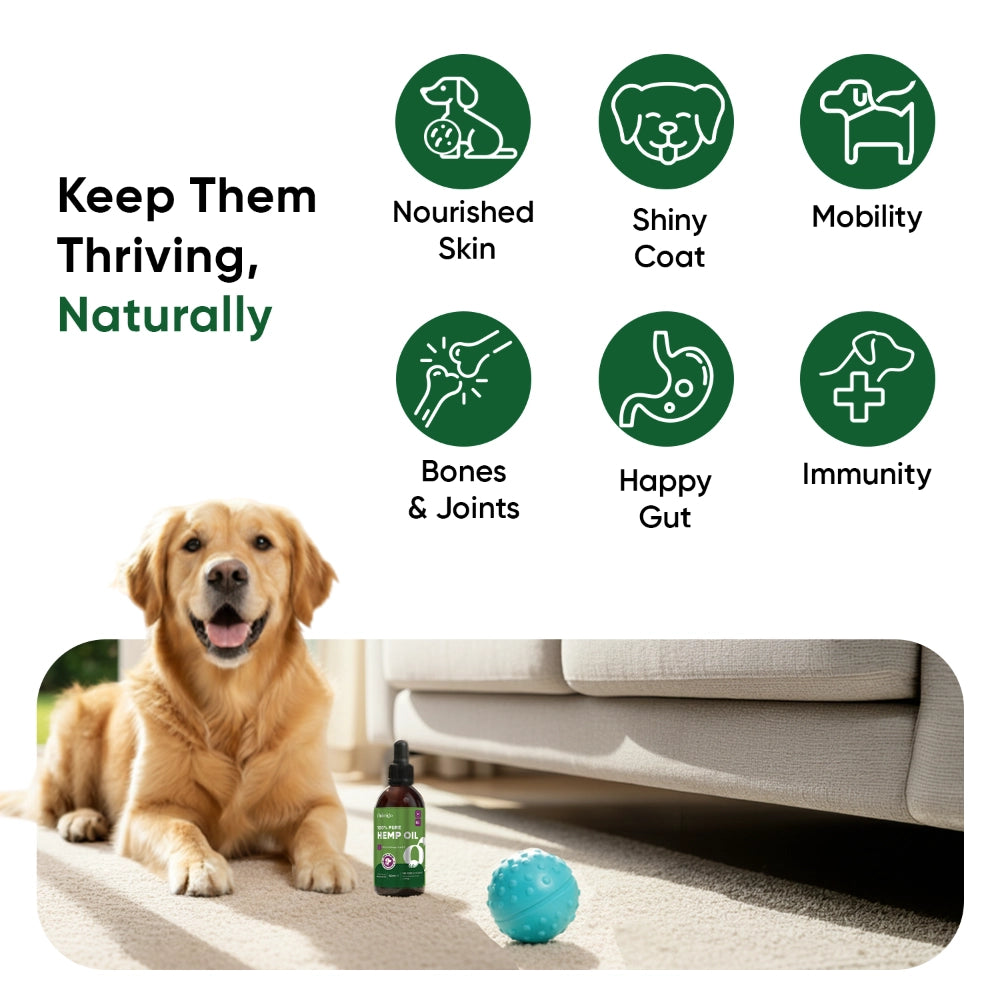 animigo-uk-hemp-oil-60ml-for-dogs-55800mg-liquid-04
