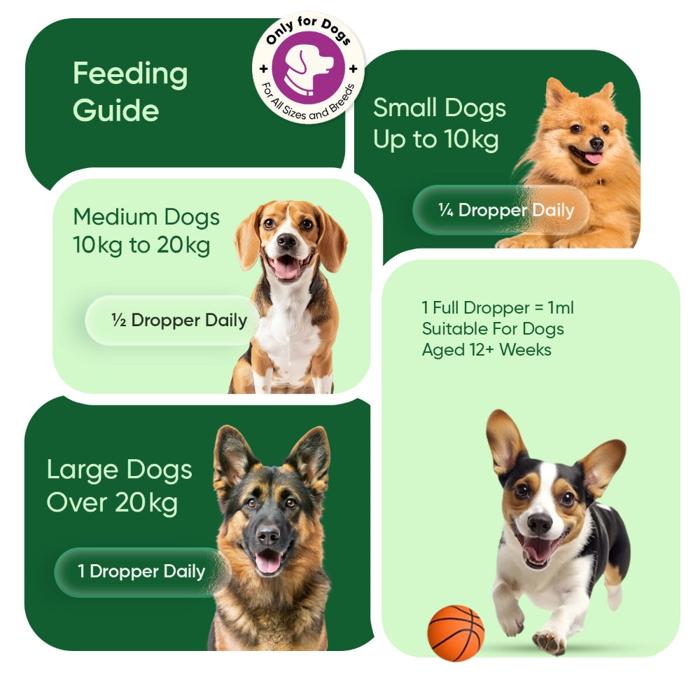 animigo-uk-hemp-oil-60ml-for-dogs-55800mg-liquid-05