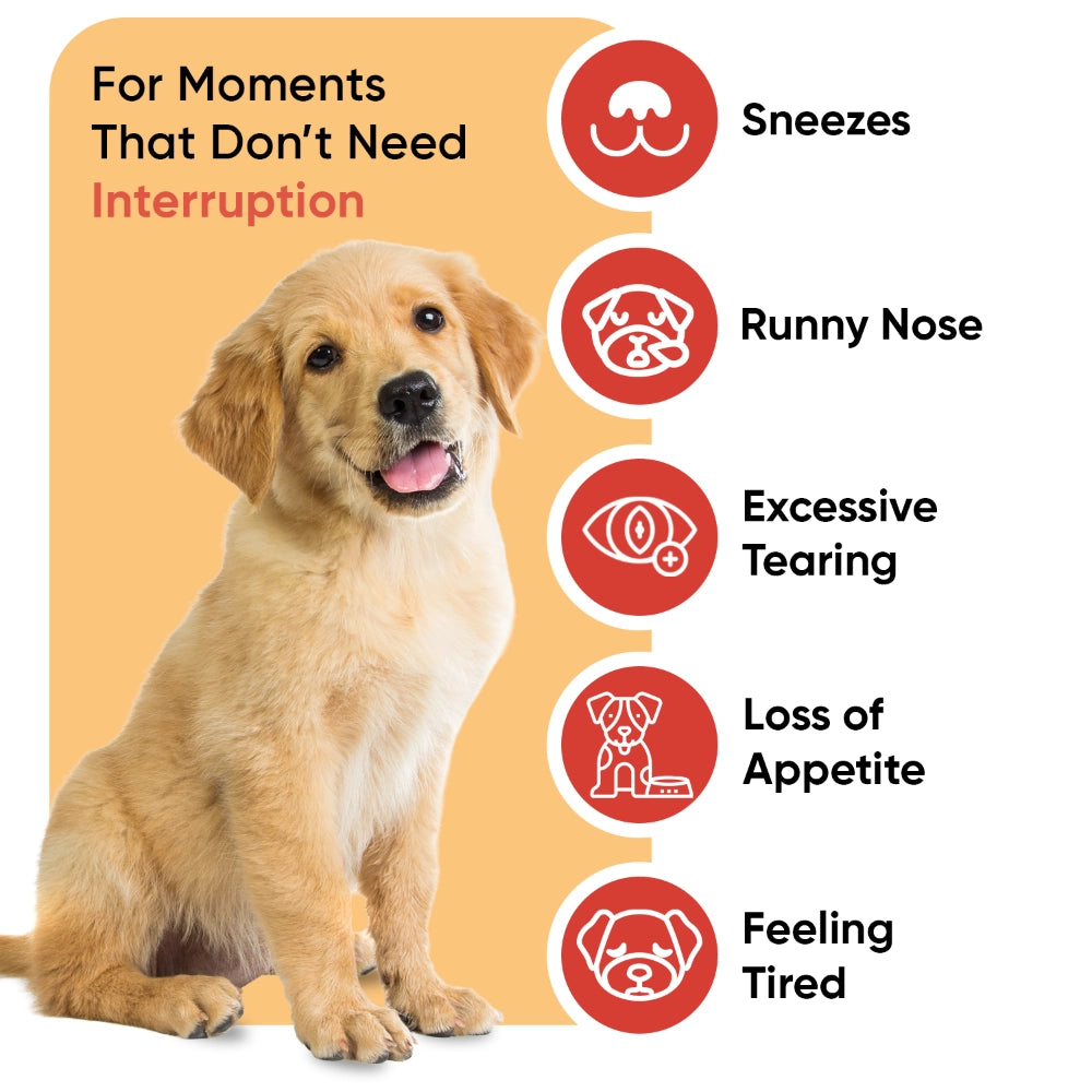animigo-uk-l-lysine-for-dogs-250g-powder-04