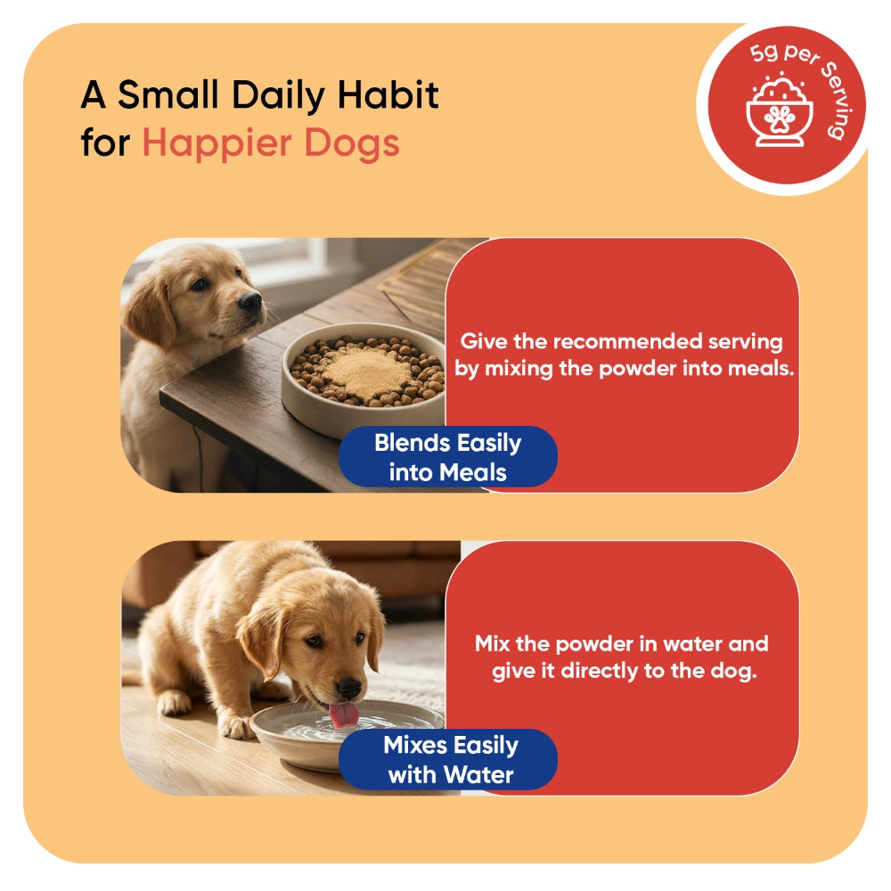 animigo-uk-l-lysine-for-dogs-250g-powder-06