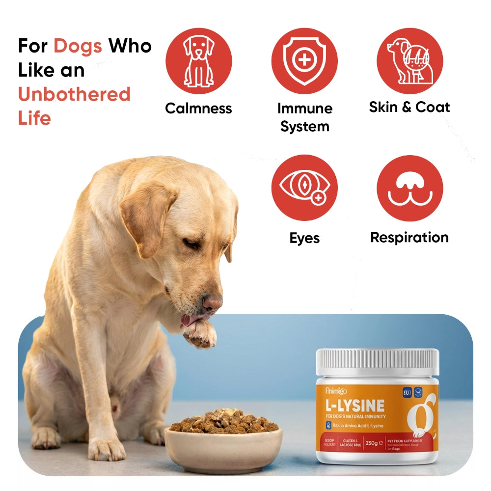 animigo-uk-l-lysine-for-dogs-250g-powder-07