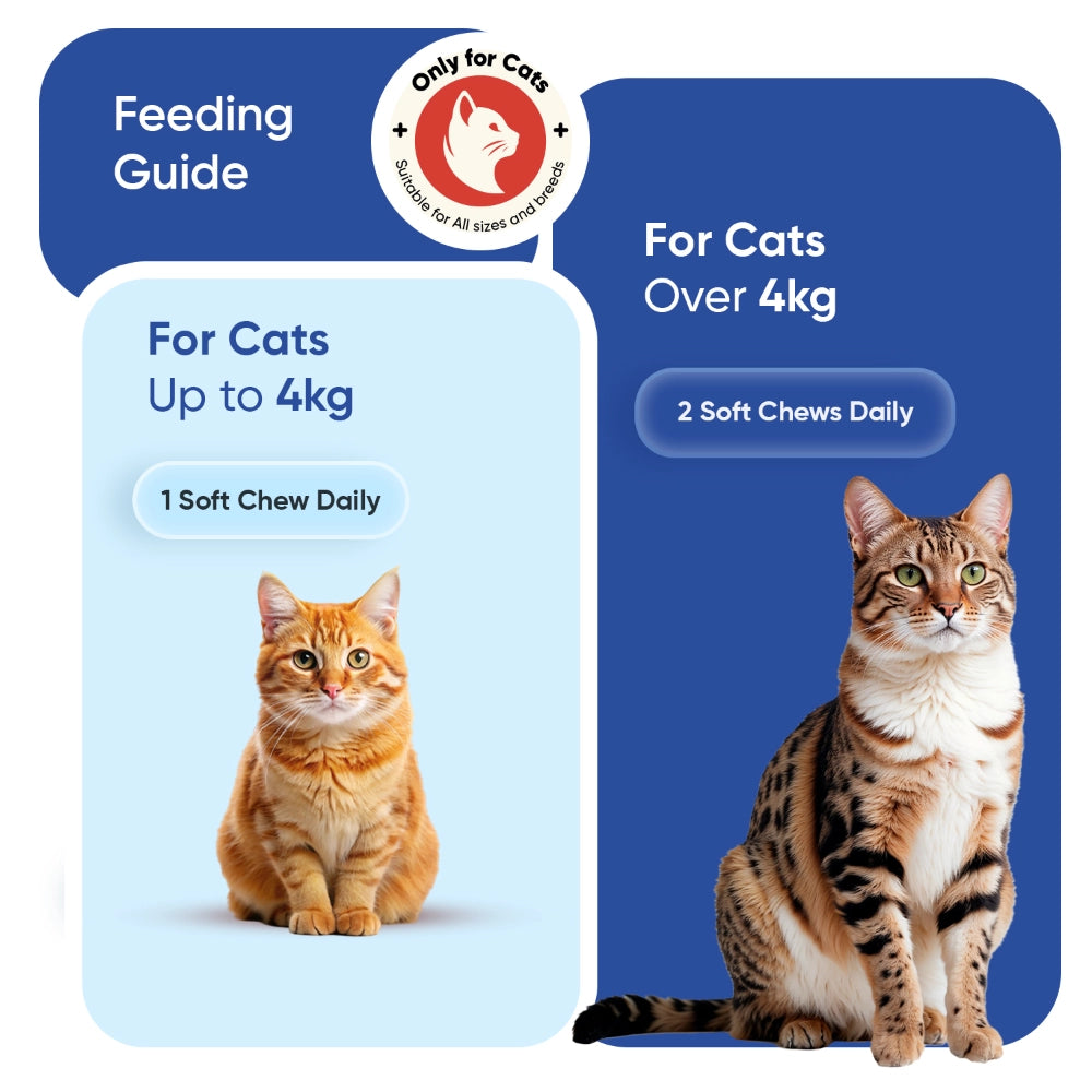 animigo-uk-multivitamin-with-minerals-for-cats-caps-04