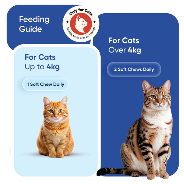 animigo-uk-multivitamin-with-minerals-for-cats-caps-04