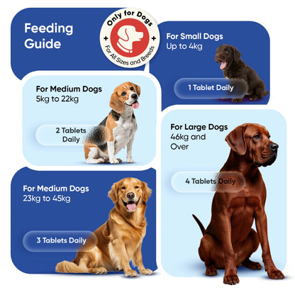 animigo-uk-multivitamin-with-minerals-for-dogs-365tablets-05