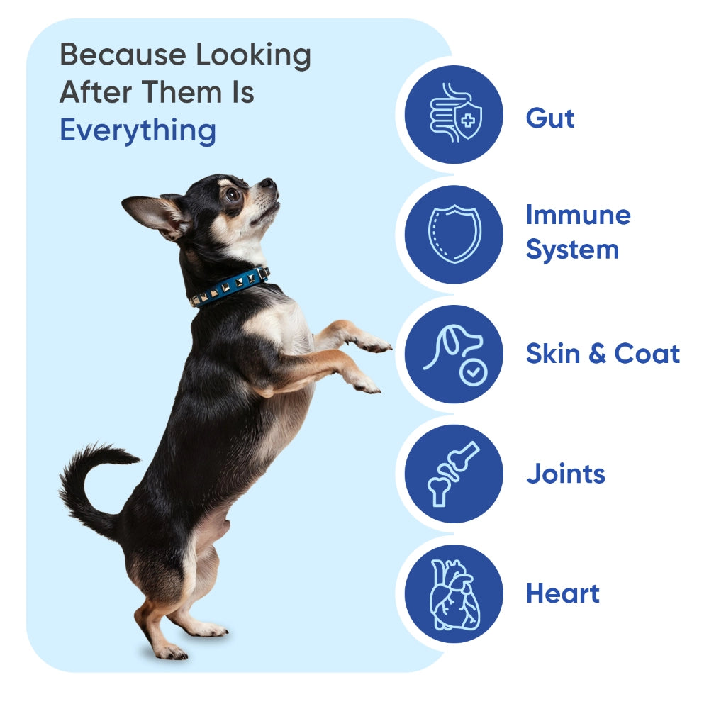 animigo-uk-multivitamin-with-minerals-for-dogs-caps-03
