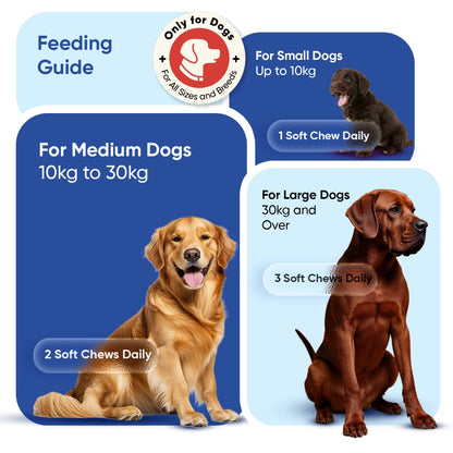 animigo-uk-multivitamin-with-minerals-for-dogs-caps-04