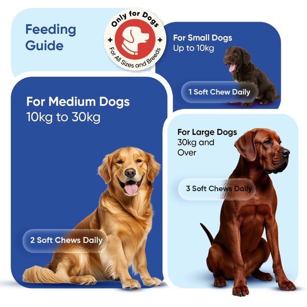 animigo-uk-multivitamin-with-minerals-for-dogs-caps-04
