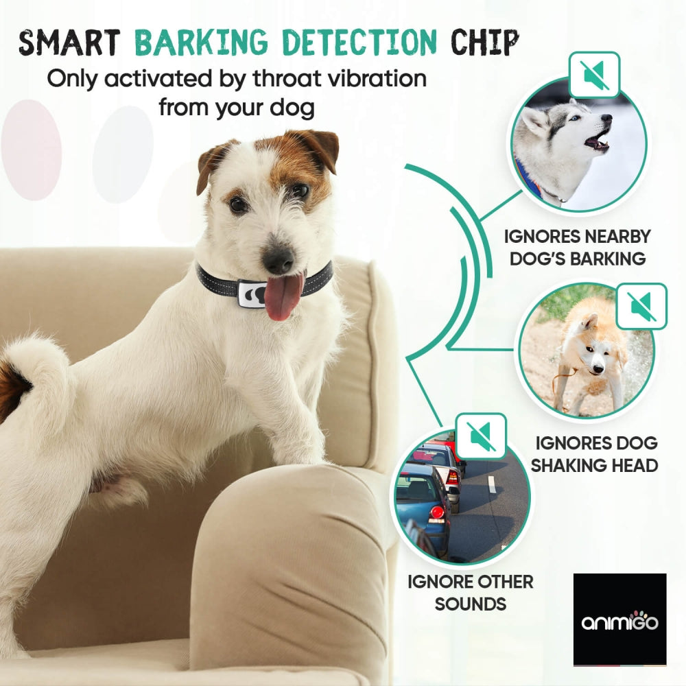 anti-bark-collar-uk-06
