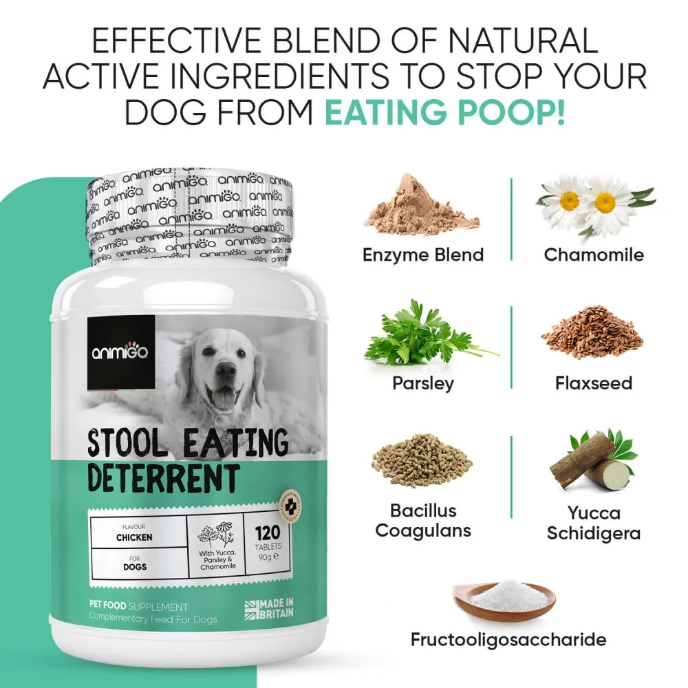 Products to stop dogs from eating poop hot sale
