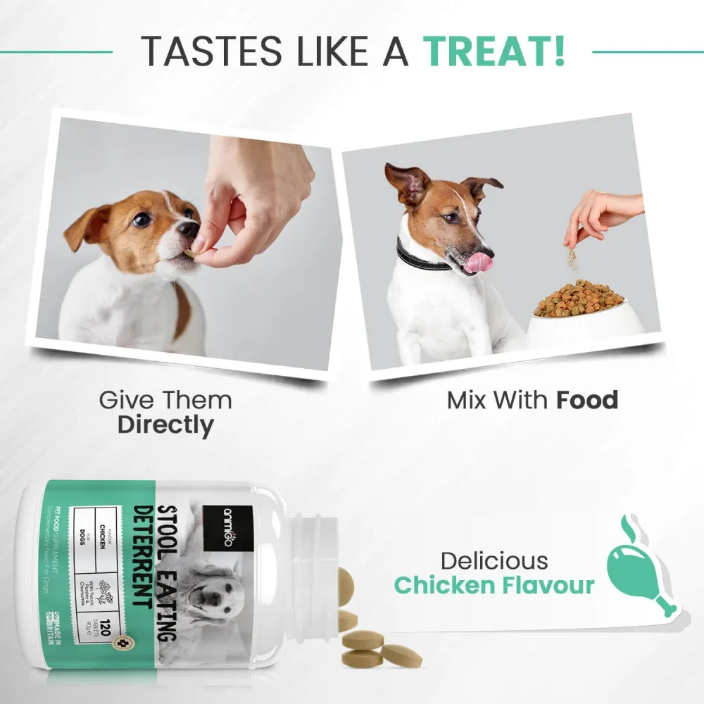 coprophagia-stool-eating-deterrent-uk--04