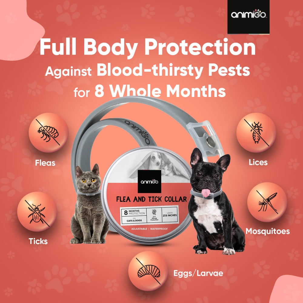 Natural Flea Tick Collars for Dogs Cats Months Protection