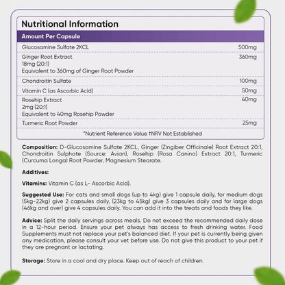 glucosamine-and-chondroitin-uk-back