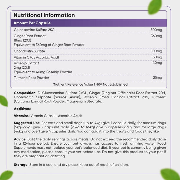 glucosamine-and-chondroitin-uk-back