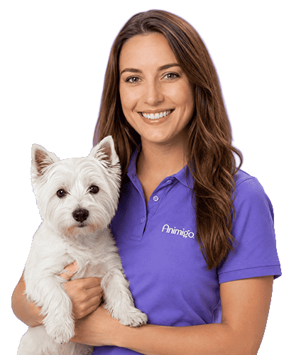 Not sure what your pet needs?