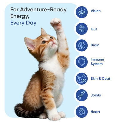 multivitamin-with-minerals-for-cats-uk-03