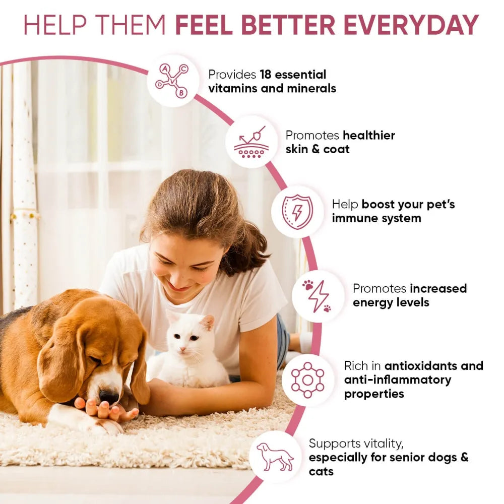 Multivitamins and Minerals for Cats & Dogs 2 multivitamins and minerals for dogs cat uk 02 0f073b4b 0109 4579 8eb6 c1f7bb9d8492