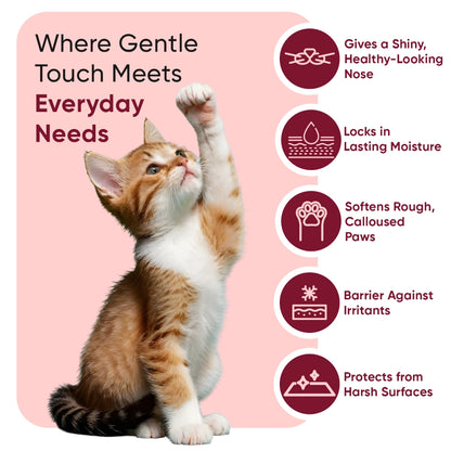 paw-and-nose-for-cats-uk-caps-02