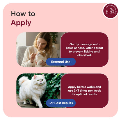 paw-and-nose-for-cats-uk-caps-03