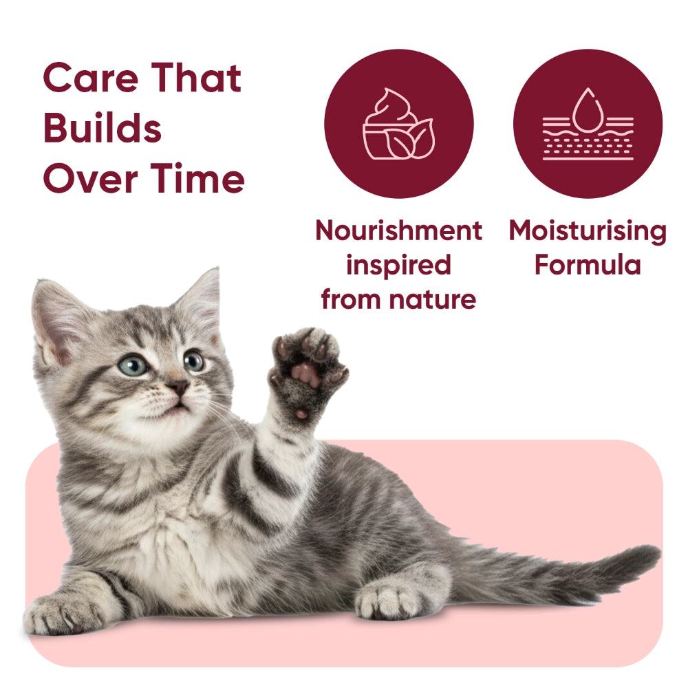 paw-and-nose-for-cats-uk-caps-06