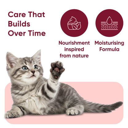 paw-and-nose-for-cats-uk-caps-06