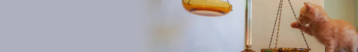 Animigo UK