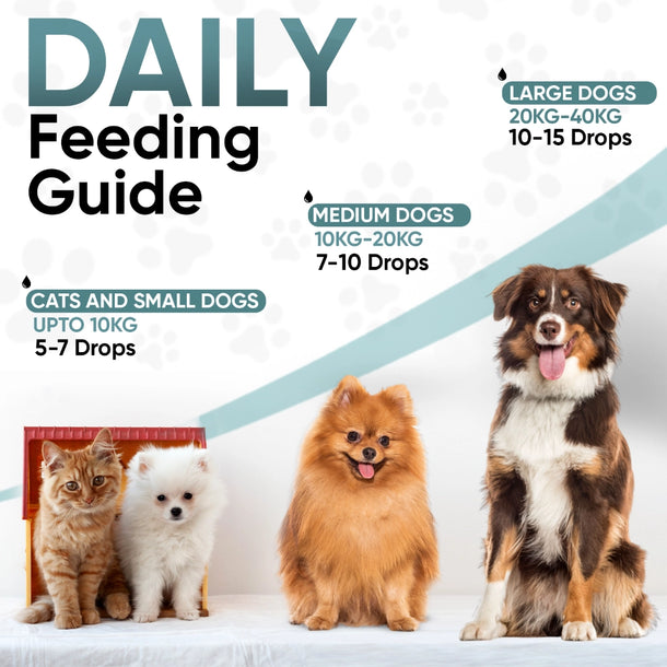 wormwood-advanced-liquid-ani-uk-3