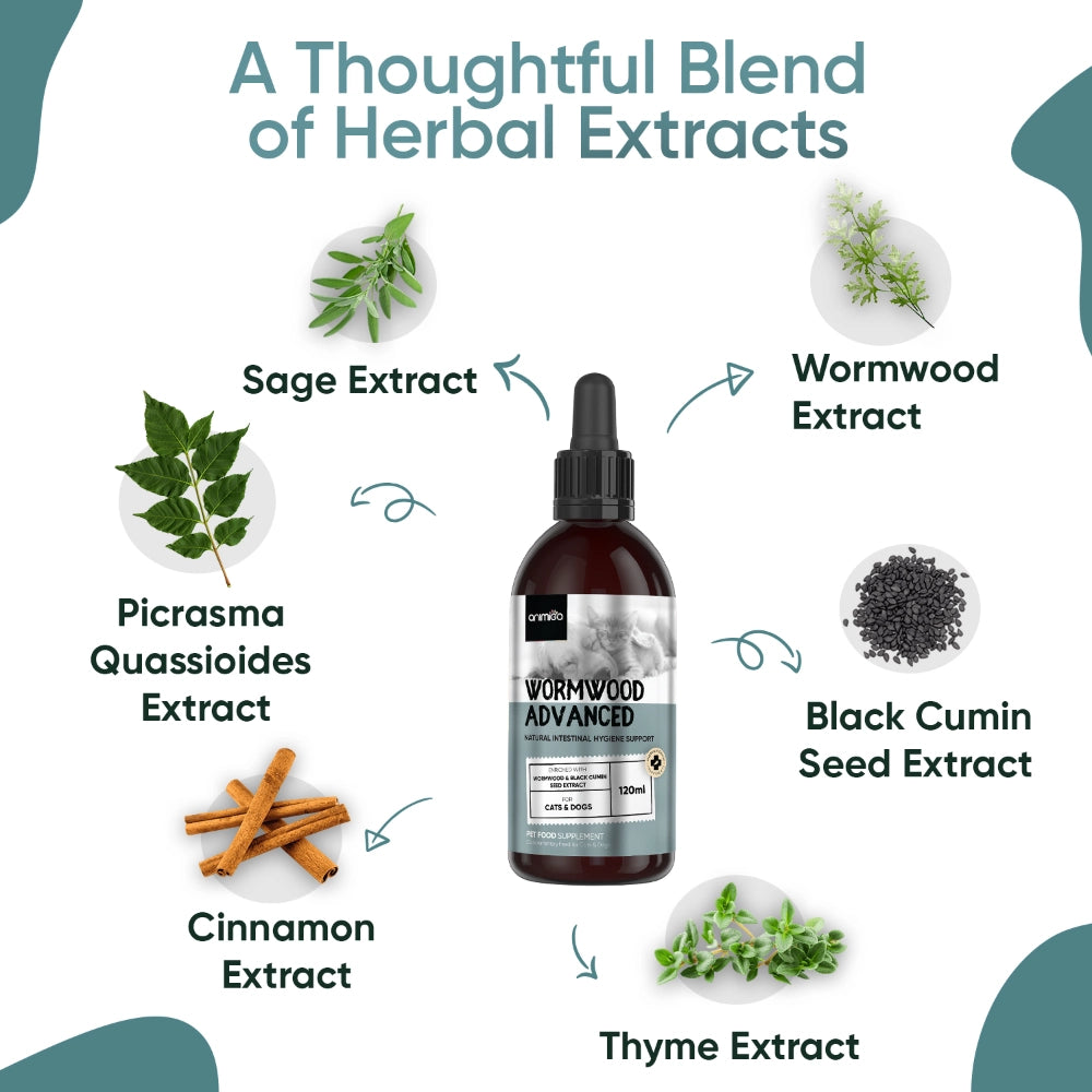 wormwood-advanced-liquid-ani-uk-4